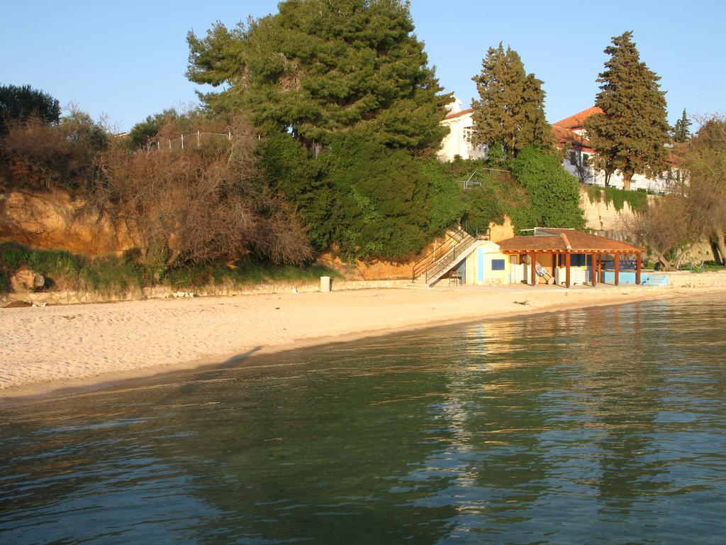Apartments Villa Agatha Sveti Filip i Jakov Extérieur photo